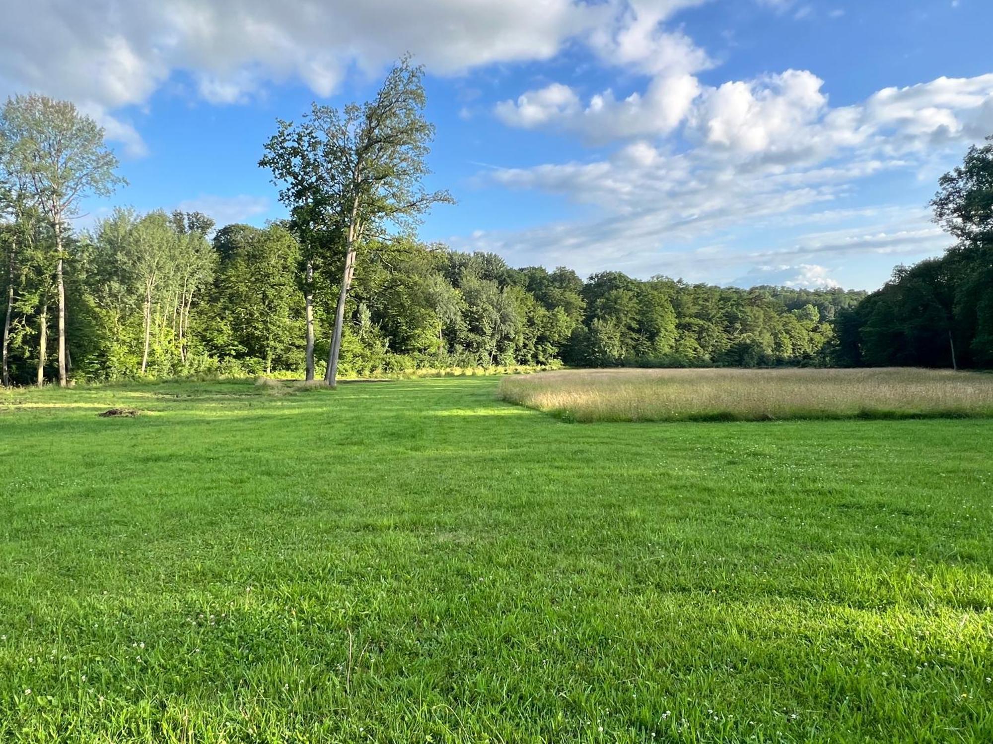 Chateau De Crenille Chaumes-en-Brie Екстер'єр фото
