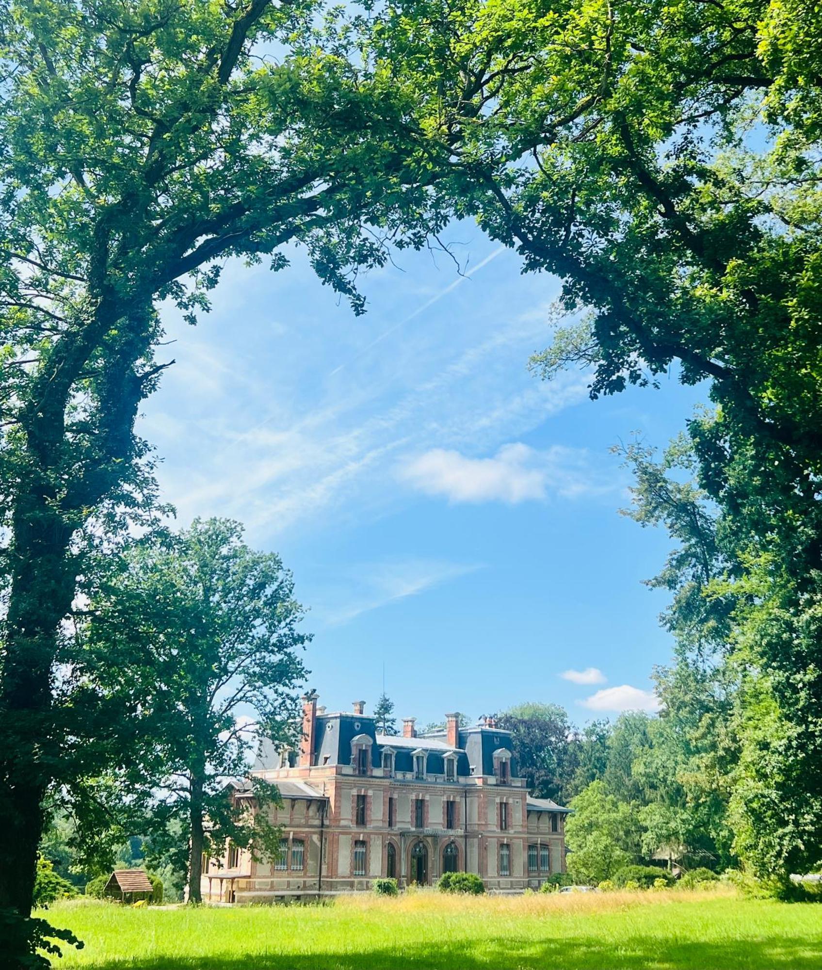 Chateau De Crenille Chaumes-en-Brie Екстер'єр фото