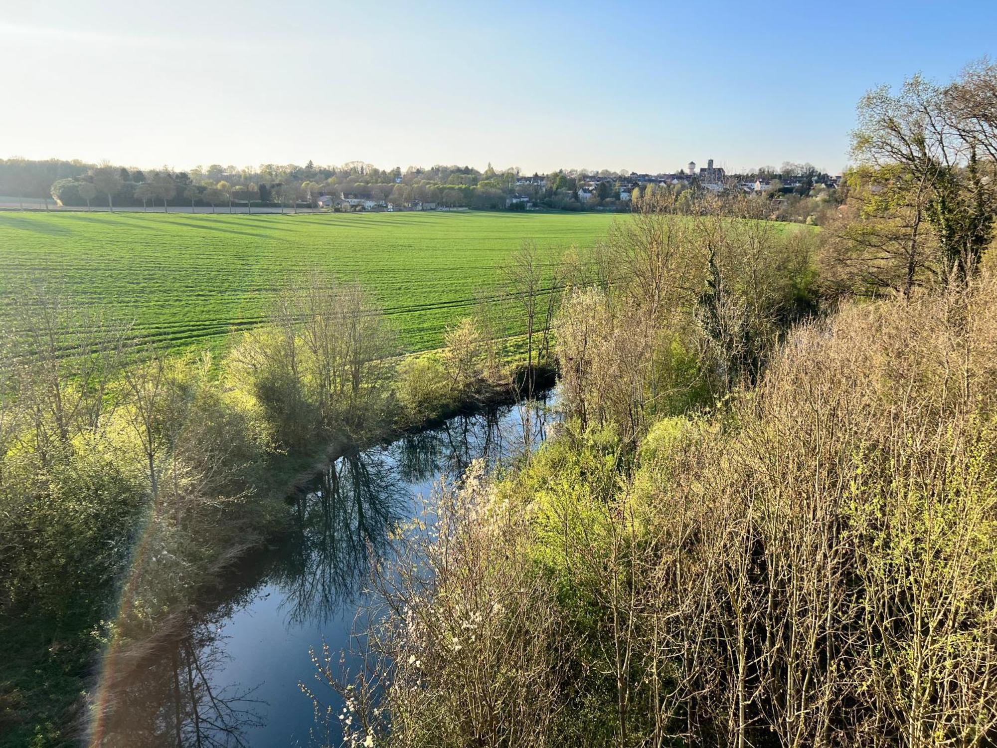 Chateau De Crenille Chaumes-en-Brie Екстер'єр фото
